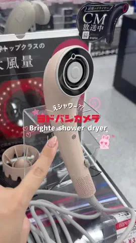 ぽむちゃんのTikTok投稿