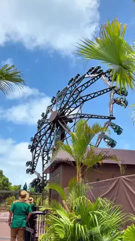 わら旅夫婦のTikTok投稿