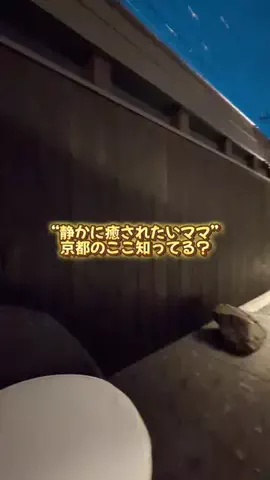 あるママのTikTok投稿