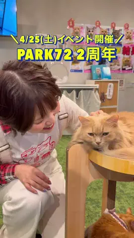 白石ありさ🍓【九州観光グルメ】のTikTok投稿