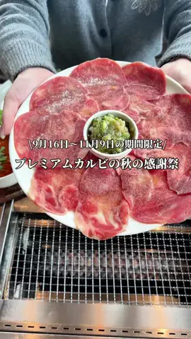 映え旅けんと | 東京発の全国おでかけ情報のTikTok投稿