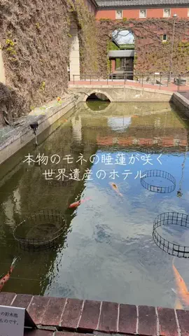 y_urin_aのTikTok投稿