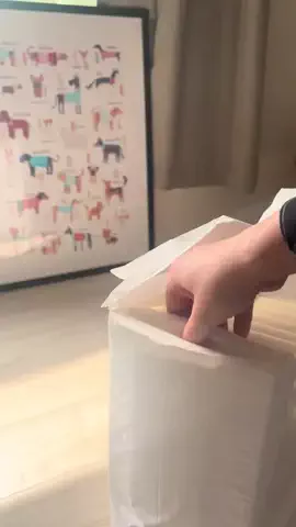 ぬい𓅮ちょいラクするための暮らしメモのTikTok投稿