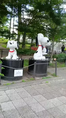 ritsu🐶💚🐎のTikTok投稿