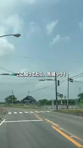 茨城グルメ／IBARAKI SELECTのTikTok投稿