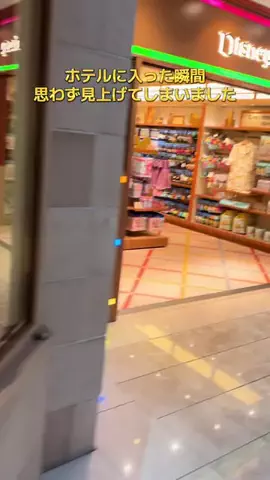 ポイけしき♨️宿図鑑のTikTok投稿