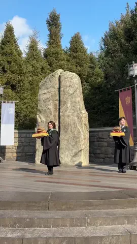 Haru's ParkのTikTok投稿