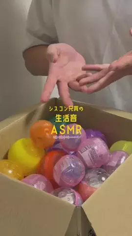 すっぽん！🐢📦のTikTok投稿