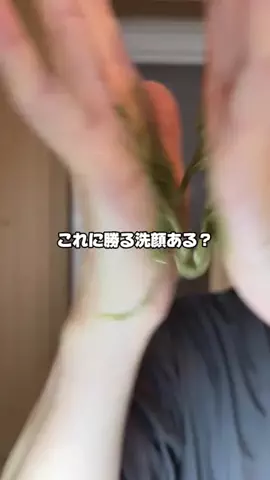 本モノ子のTikTok PR投稿：毛穴クレンジング 【ODELOI】ニドソープ これ使った事ない…