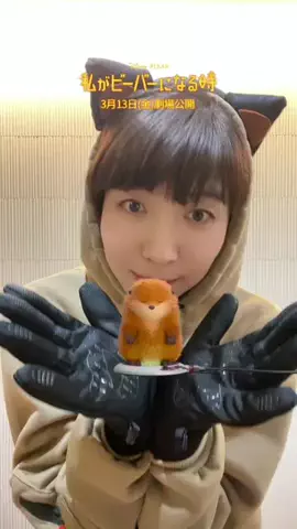 しまひろこでポンのTikTok投稿