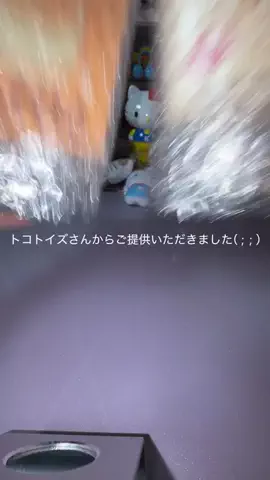 かかのTikTok投稿