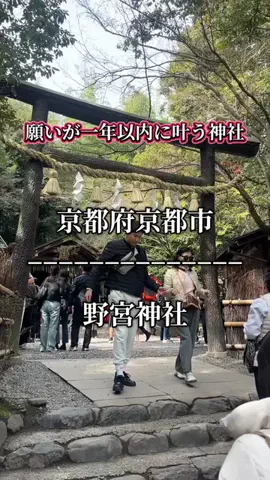 茨城と栃木の県境に住んでいますのTikTok投稿
