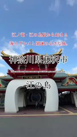 茨城と栃木の県境に住んでいますのTikTok投稿