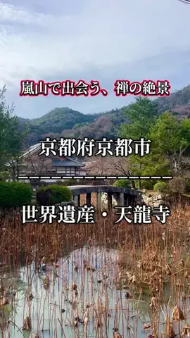 茨城と栃木の県境に住んでいますのTikTok投稿