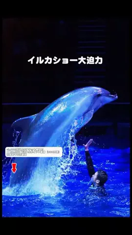 モナリ@静止画やめて外出中👒‖関東発のTikTok投稿