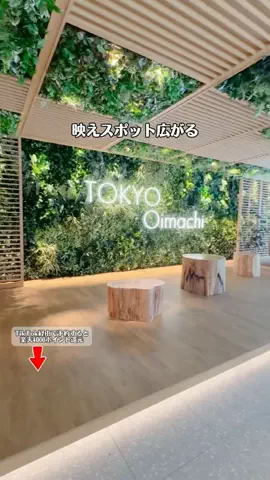 モナリ@静止画やめて外出中👒‖関東発のTikTok投稿