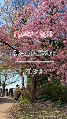 茨城と栃木の県境に住んでいますのTikTok投稿