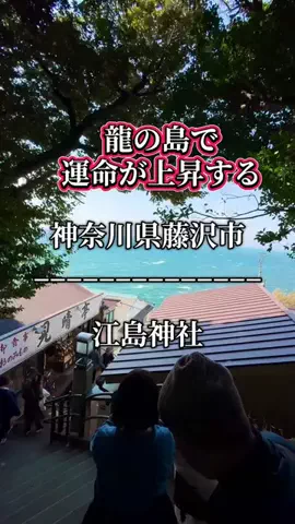 茨城と栃木の県境に住んでいますのTikTok投稿