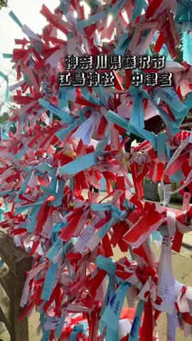 茨城と栃木の県境に住んでいますのTikTok投稿