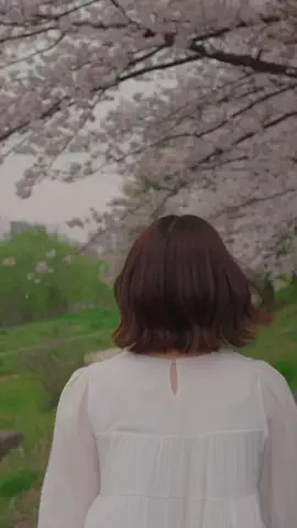 KOUのTikTok投稿