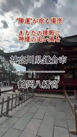 茨城と栃木の県境に住んでいますのTikTok投稿