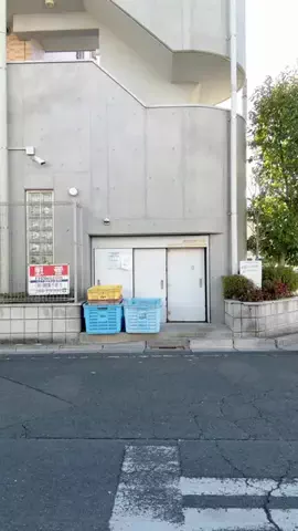 SiroのTikTok投稿