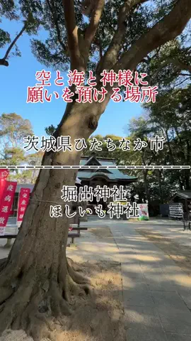 茨城と栃木の県境に住んでいますのTikTok投稿
