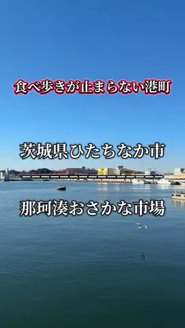 茨城と栃木の県境に住んでいますのTikTok投稿
