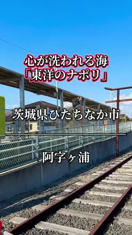 茨城と栃木の県境に住んでいますのTikTok投稿