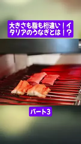 料理人の世界のTikTok投稿
