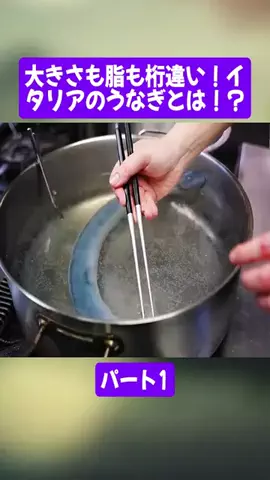 料理人の世界のTikTok投稿
