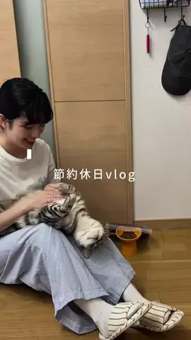 nayu_lifemoneyのTikTok投稿