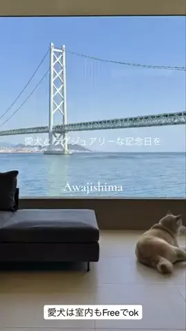 FLAFFYのTikTok投稿