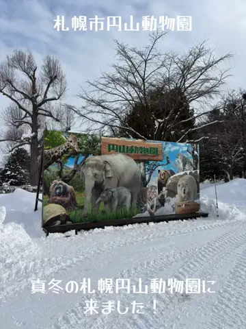 ミュージアムくまさんのTikTok投稿