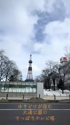 ミュージアムくまさんのTikTok投稿
