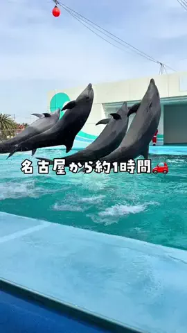 愛知おでかけ🧸のTikTok投稿