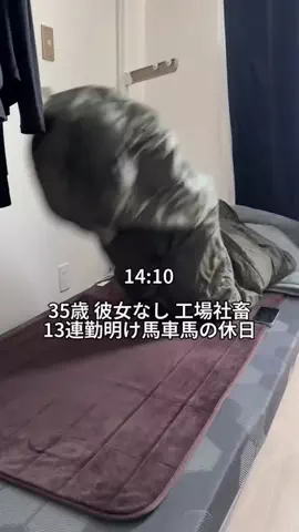 無の日常のTikTok投稿