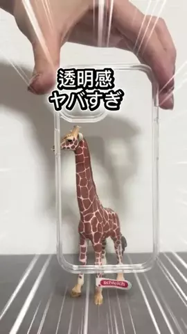 みずき｜ミニマリストになりたい主婦のTikTok投稿