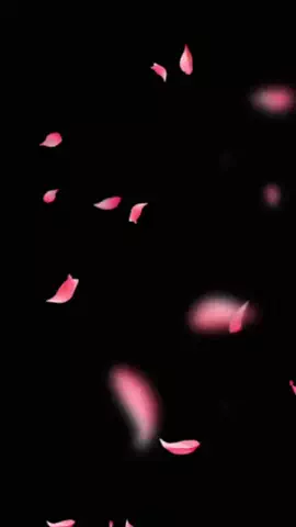 🛺🐘ヤヒ☆Yahi🐾🔙のTikTok投稿