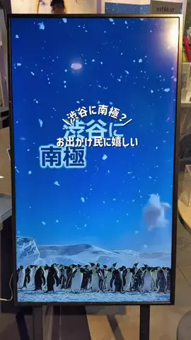 hana_no_odekakeのTikTok投稿