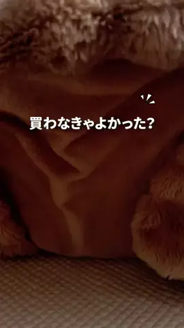 miro_ouchiphoto.diyのTikTok投稿