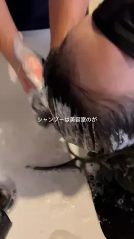 ゆりちゃんのTikTok投稿