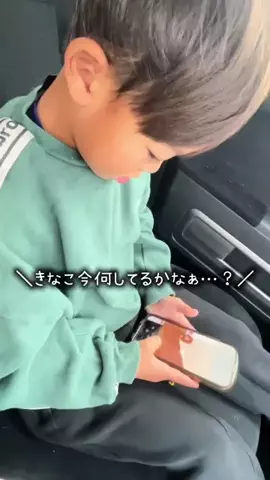 きなこと3兄弟のTikTok投稿