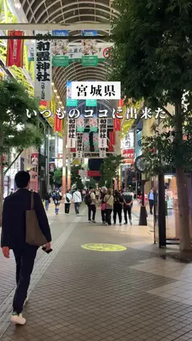 りく仙台宮城グルメ 、お出かけのTikTok投稿