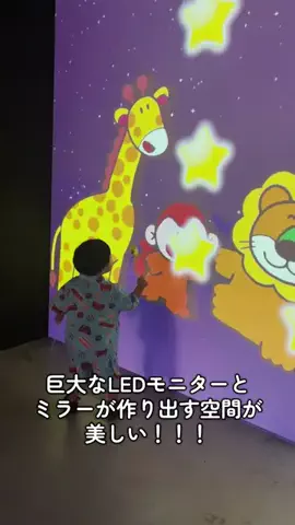coalaのTikTok投稿