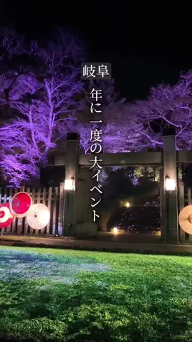 ぎふのことのTikTok投稿