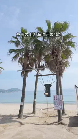 デンじょーの旅のTikTok投稿