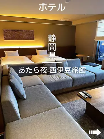 デンじょーの旅のTikTok投稿