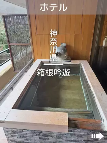デンじょーの旅のTikTok投稿