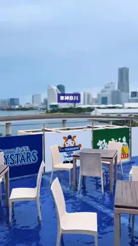 suu｜JR横浜線グルメのTikTok投稿